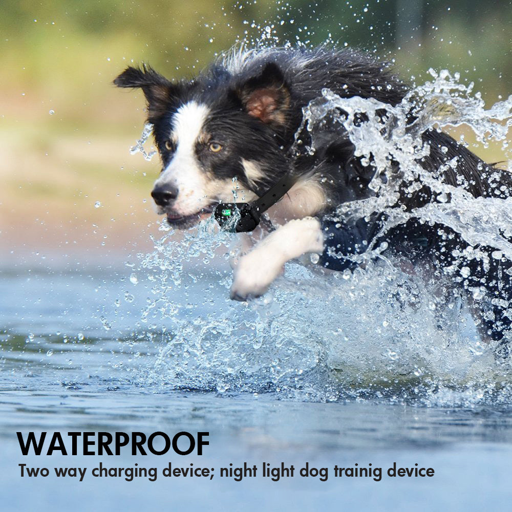 Dog Shock Collar, Shock Collar for 2 Dogs, Shock Collar with Remote for Dogs, Waterproof and Adjustable Electric Dog Training Collar for Small Medium Large Dogs