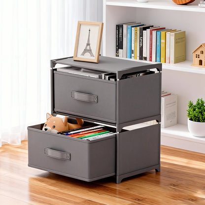 BAOKALER Multifunctional Bedroom Storage Cabinet Drawers for Clothes, Fabric Dressers for Bedroom with 2 Drawers, Small Dresser for Living Room, Hallway, Gray