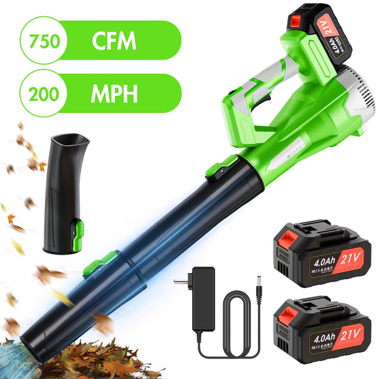 650W Cordless Leaf Blower, 150MPH 650CFM Leaf Blower with 2¡Á4AH Battery and Charger, Battery Powered Leaf Blower for Lawn Care, Patio Cleaning, Green