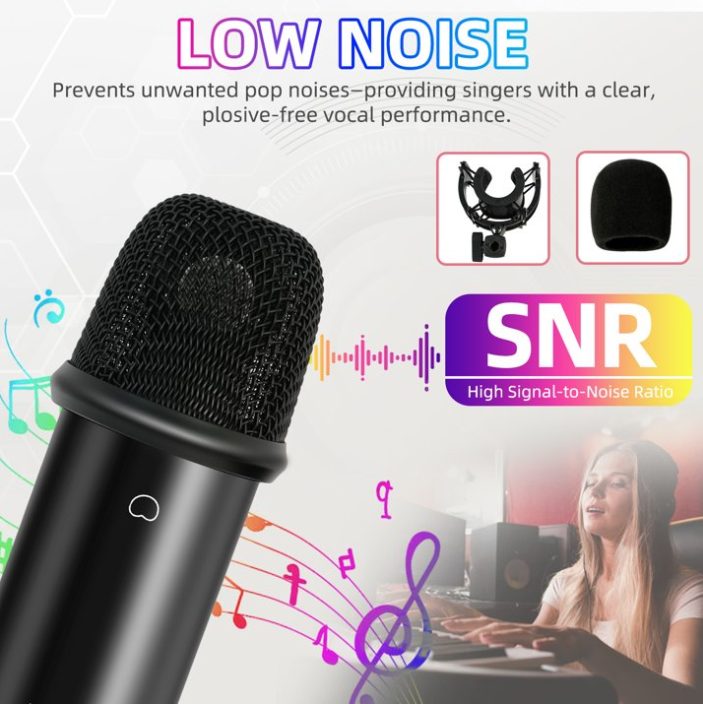 Podcast Equipment Bundle, WXH1000 Microphones for DJ18 Live Sound Card, Perfect for Podcasting, Recording, Singing, Streaming